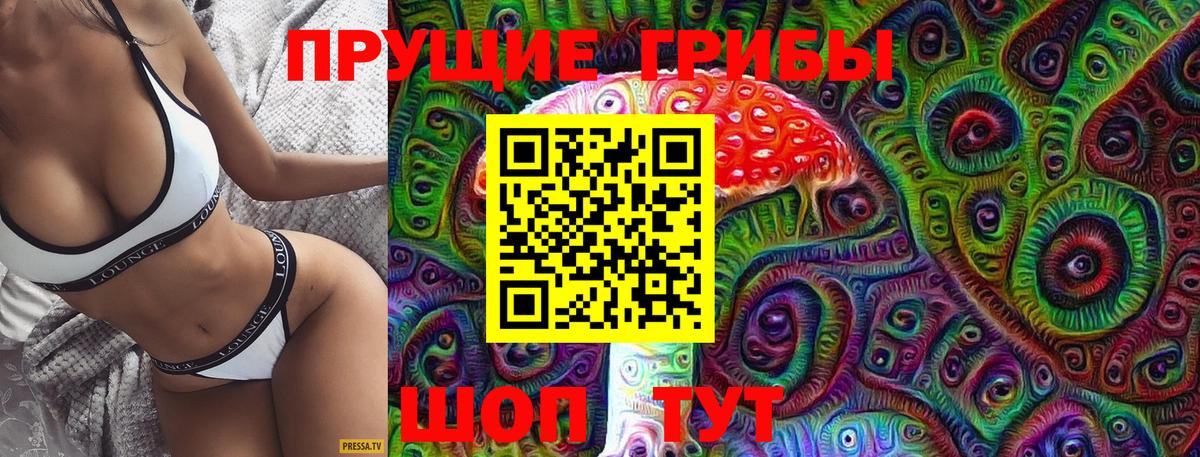 Галлюциногенные грибы Cubensis Севастополь